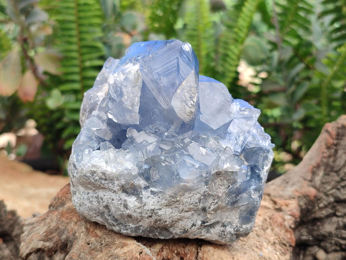Natural Blue Celestite Specimens x 2 From Sakoany, Madagascar