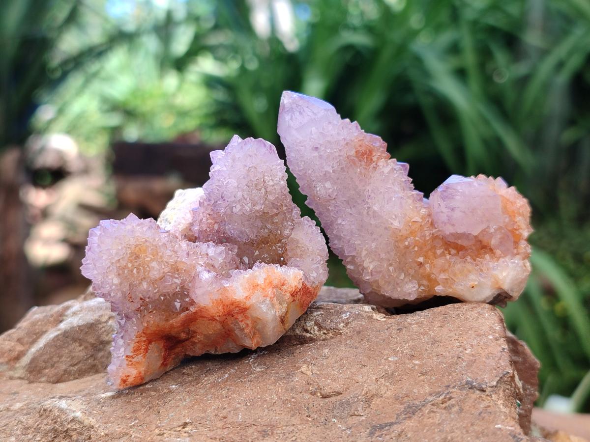 Natural Lilac Amethyst Spirit Crystal Clusters x 12 From Boekenhouthoek, South Africa