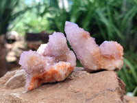 Natural Lilac Amethyst Spirit Crystal Clusters x 12 From Boekenhouthoek, South Africa