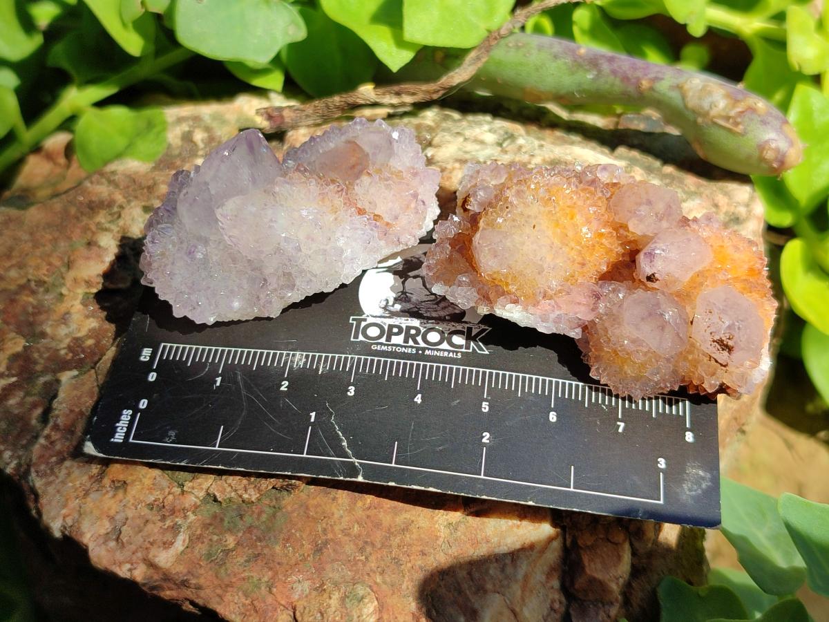 Natural Lilac Amethyst Spirit Crystal Clusters x 12 From Boekenhouthoek, South Africa
