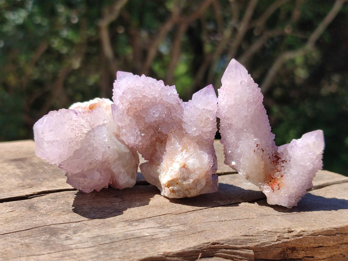 Natural Lilac Amethyst Spirit Crystal Clusters x 12 From Boekenhouthoek, South Africa