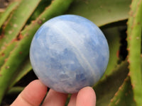 Polished Blue Calcite Spheres x 4 From Madagascar
