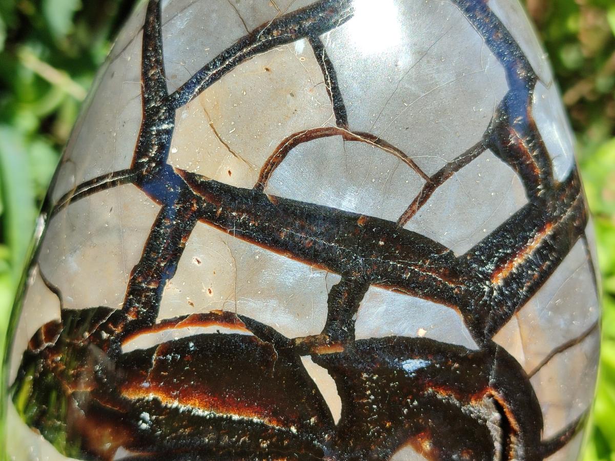 Polished Septerye Sauvage "Dragons Egg" Geode Standing Free Form x 1 From Mahajanga, Madagascar