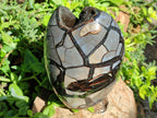 Polished Septerye Sauvage "Dragons Egg" Geode Standing Free Form x 1 From Mahajanga, Madagascar