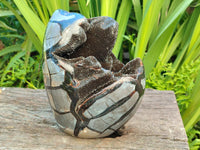 Polished Septerye Sauvage "Dragons Egg" Geode Standing Free Form x 1 From Mahajanga, Madagascar