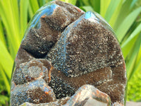 Polished Septerye Sauvage "Dragons Egg" Geode Standing Free Form x 1 From Mahajanga, Madagascar