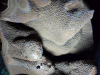 Polished Septerye Sauvage "Dragons Egg" Geode Standing Free Form x 1 From Mahajanga, Madagascar