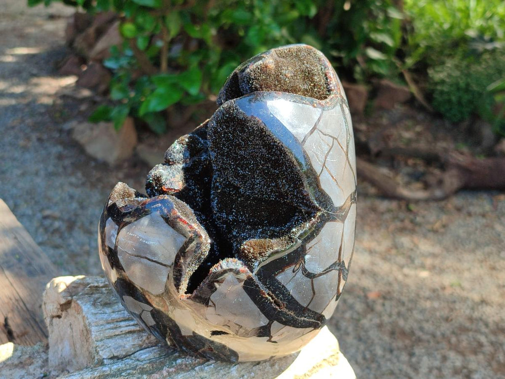 Polished Septerye Sauvage "Dragons Egg" Geode Standing Free Form x 1 From Mahajanga, Madagascar