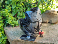 Polished Septerye Sauvage "Dragons Egg" Geode Standing Free Form x 1 From Mahajanga, Madagascar