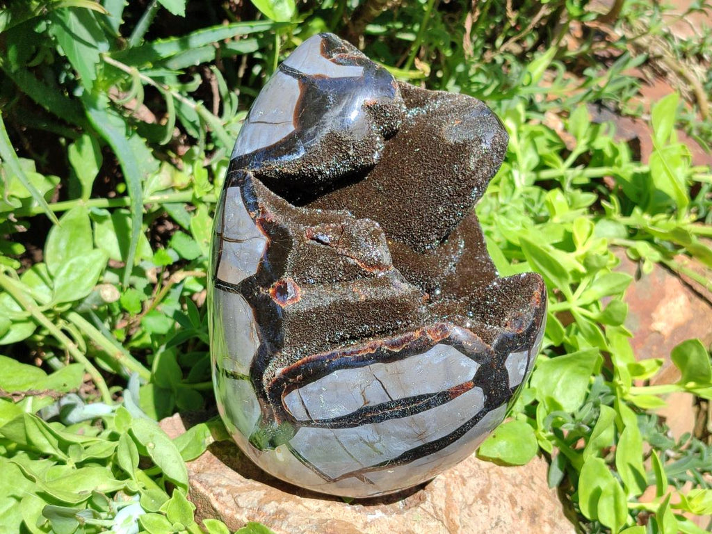 Polished Septerye Sauvage "Dragons Egg" Geode Standing Free Form x 1 From Mahajanga, Madagascar