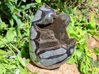 Polished Septerye Sauvage "Dragons Egg" Geode Standing Free Form x 1 From Mahajanga, Madagascar