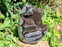 Polished Septerye Sauvage "Dragons Egg" Geode Standing Free Form x 1 From Mahajanga, Madagascar