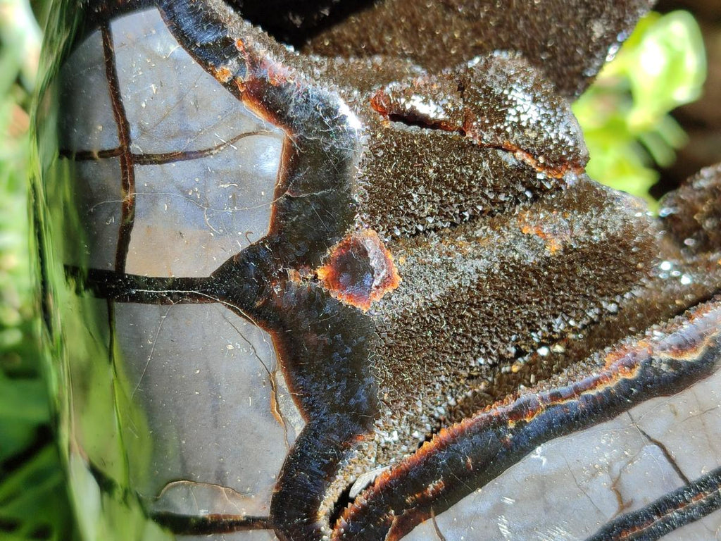 Polished Septerye Sauvage "Dragons Egg" Geode Standing Free Form x 1 From Mahajanga, Madagascar