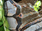 Polished Septerye Sauvage "Dragons Egg" Geode Standing Free Form x 1 From Mahajanga, Madagascar
