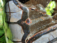Polished Septerye Sauvage "Dragons Egg" Geode Standing Free Form x 1 From Mahajanga, Madagascar