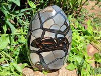 Polished Septerye Sauvage "Dragons Egg" Geode Standing Free Form x 1 From Mahajanga, Madagascar