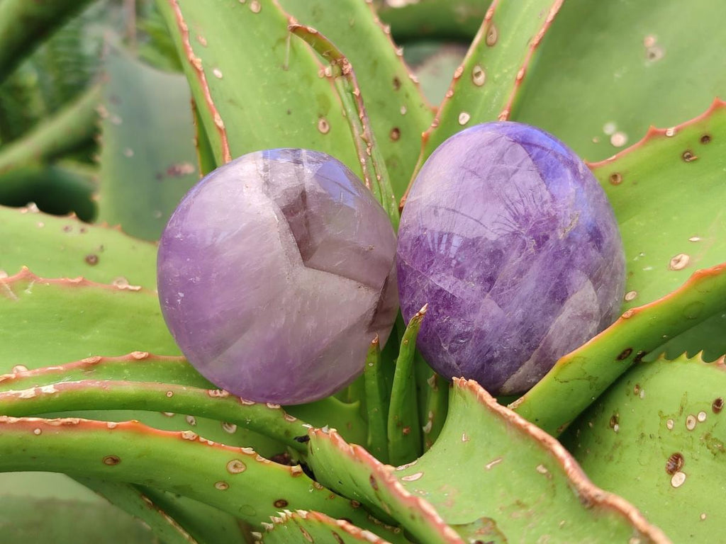 Polished Chevron Amethyst Palm Stones x 20 From Madagascar
