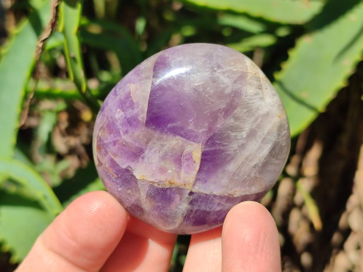 Polished Chevron Amethyst Palm Stones x 20 From Madagascar