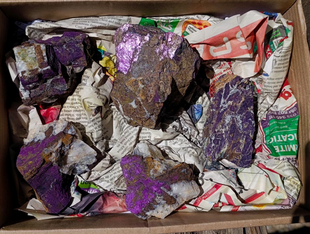 Natural Metallic Cobbed Purpurite Specimens x 5 From Erongo, Namibia