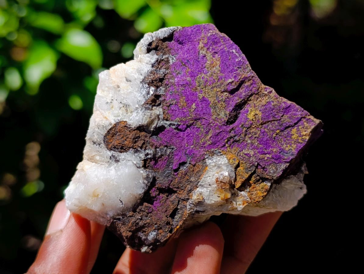 Natural Metallic Cobbed Purpurite Specimens x 5 From Erongo, Namibia