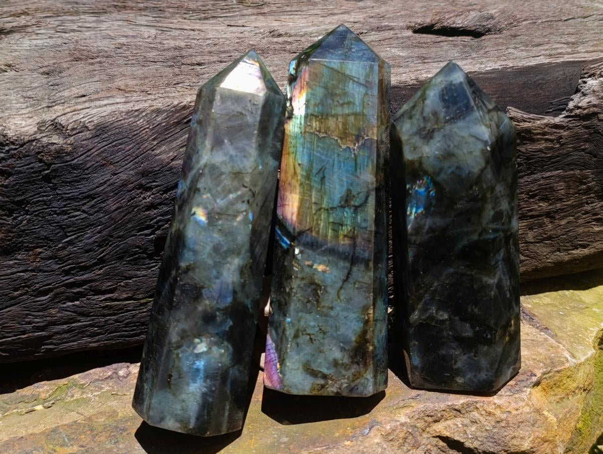 Polished Labradorite Display Crystals x 3 From Madagascar
