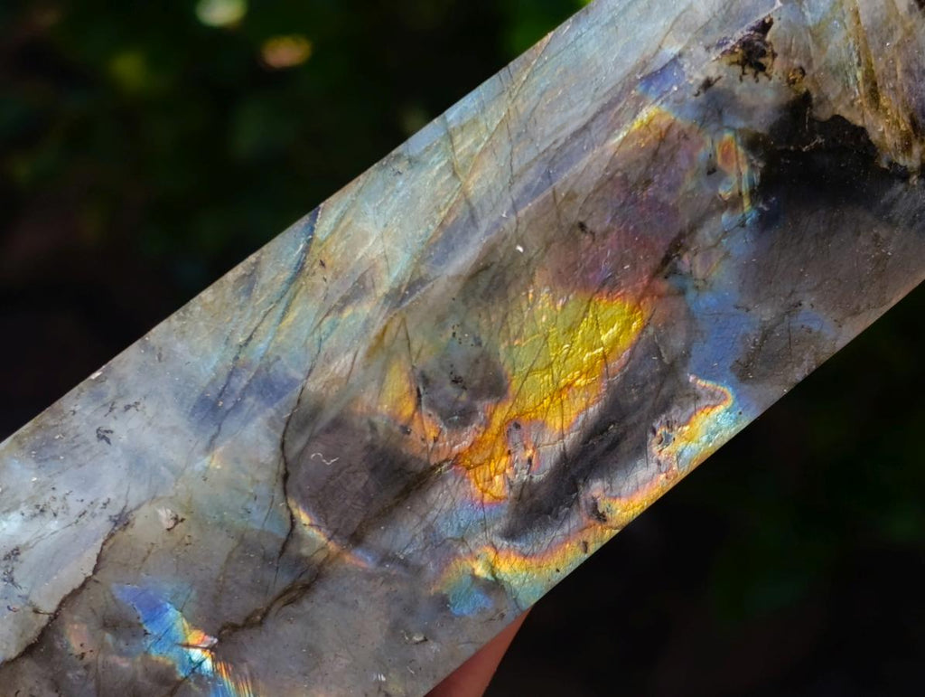 Polished Labradorite Display Crystals x 3 From Madagascar
