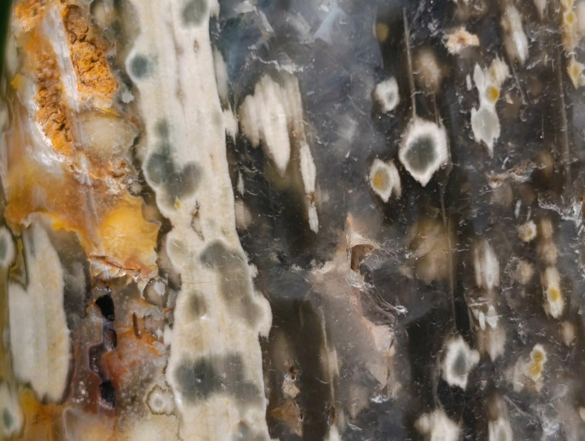 Polished Ocean Jasper Standing Free Forms x 3 From Northwest Coast, Madagascar