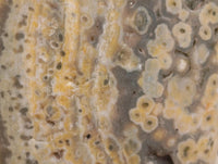 Polished Ocean Jasper Standing Free Forms x 3 From Northwest Coast, Madagascar