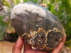 Polished Ocean Jasper Standing Free Forms x 3 From Northwest Coast, Madagascar