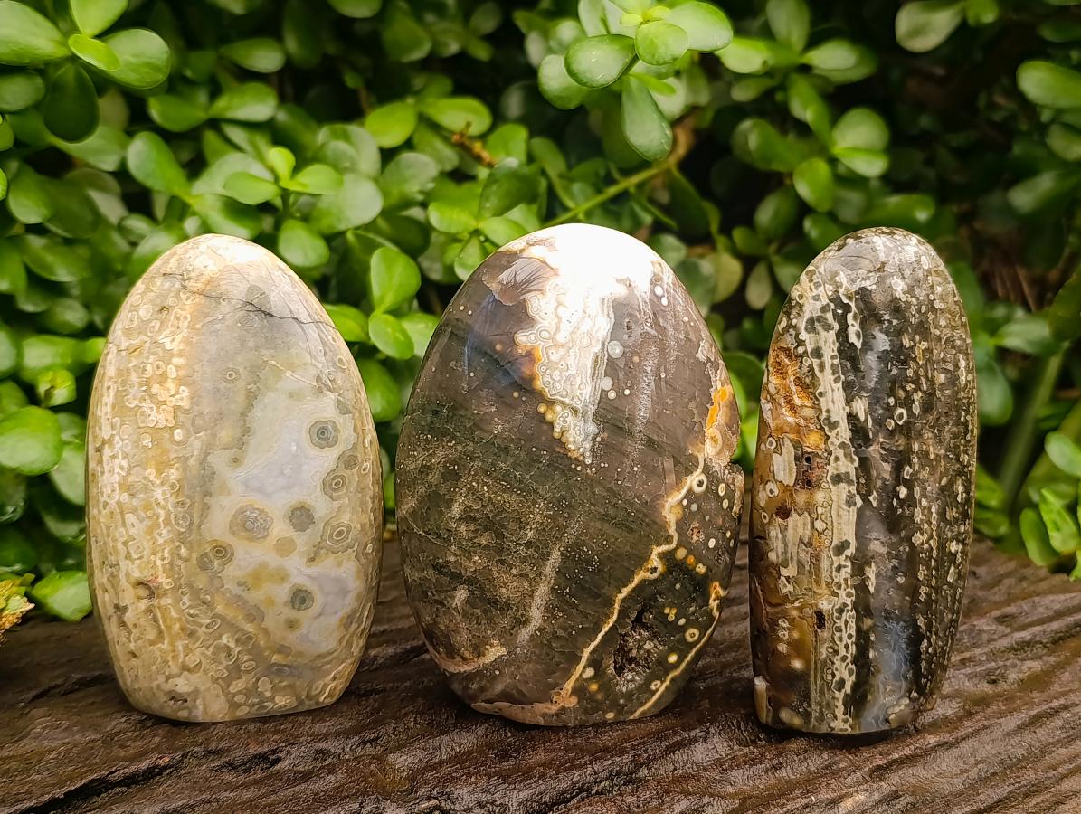 Polished Ocean Jasper Standing Free Forms x 3 From Northwest Coast, Madagascar