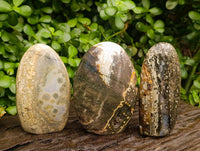 Polished Ocean Jasper Standing Free Forms x 3 From Northwest Coast, Madagascar
