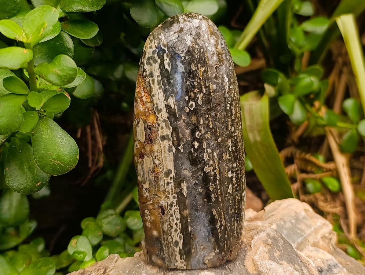 Polished Ocean Jasper Standing Free Forms x 3 From Northwest Coast, Madagascar