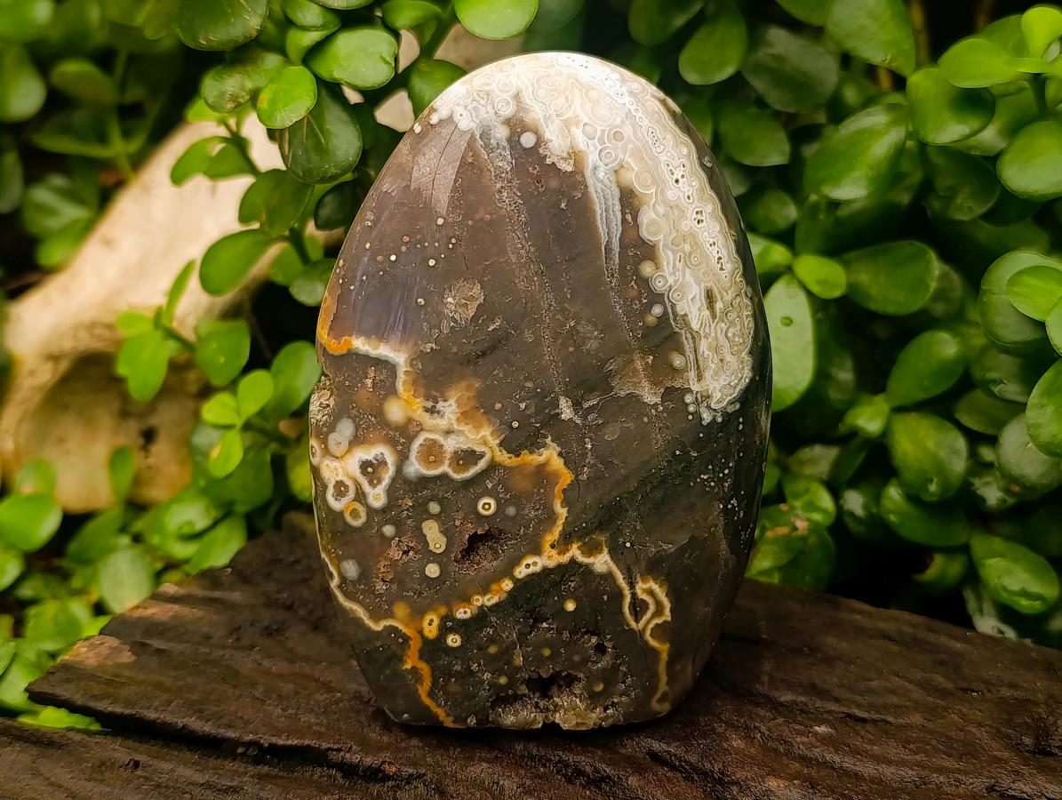 Polished Ocean Jasper Standing Free Forms x 3 From Northwest Coast, Madagascar