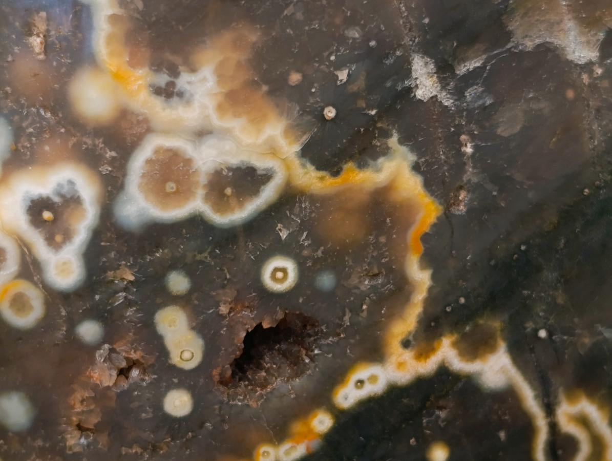 Polished Ocean Jasper Standing Free Forms x 3 From Northwest Coast, Madagascar