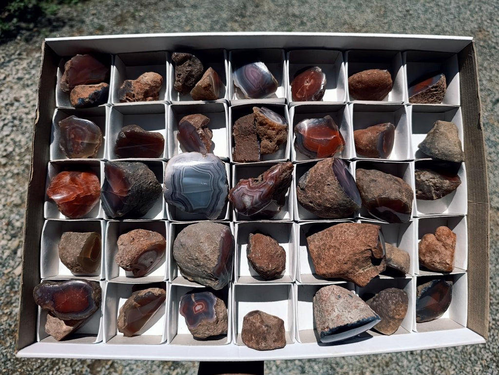 Polished Red Shashe River Agate Nodules x 39 From Shashe River, Zimbabwe