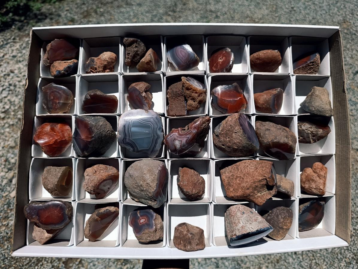 Polished Red Shashe River Agate Nodules x 39 From Shashe River, Zimbabwe