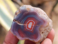 Polished Red Shashe River Agate Nodules x 39 From Shashe River, Zimbabwe