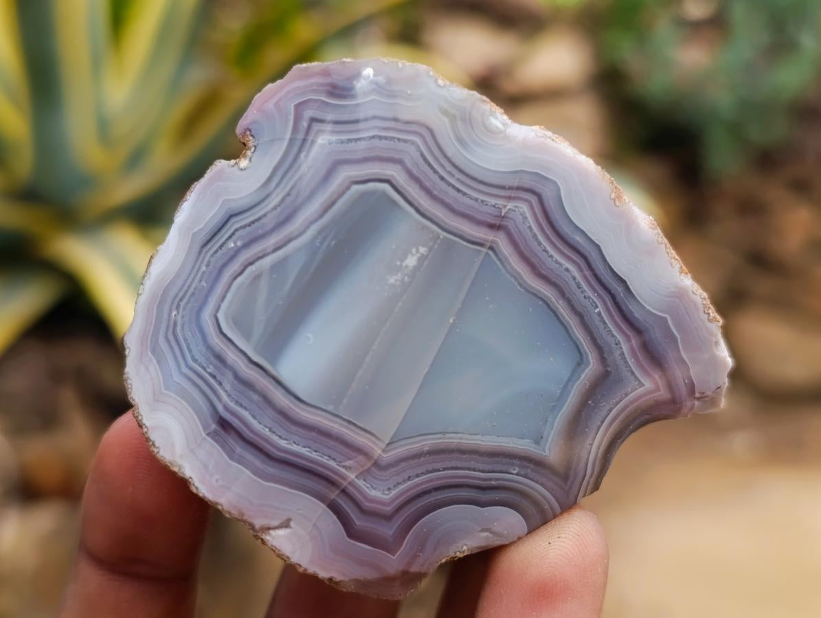 Polished Red Shashe River Agate Nodules x 39 From Shashe River, Zimbabwe