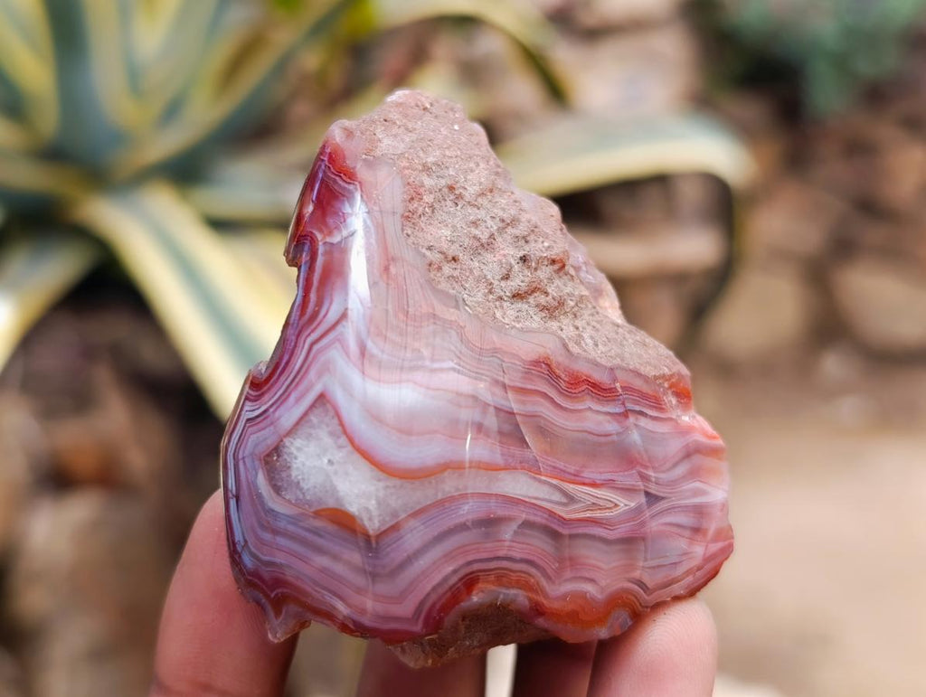 Polished Red Shashe River Agate Nodules x 39 From Shashe River, Zimbabwe