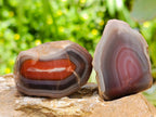 Polished Red Shashe River Agate Nodules x 39 From Shashe River, Zimbabwe
