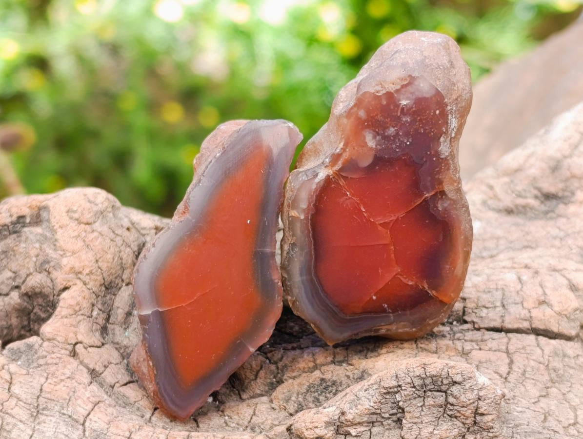 Polished Red Shashe River Agate Nodules x 39 From Shashe River, Zimbabwe