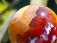 Polished Carnelian Agate Gemstone Spheres x 6 From Madagascar