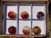 Polished Carnelian Agate Gemstone Spheres x 6 From Madagascar