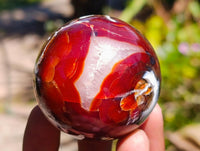 Polished Carnelian Agate Gemstone Spheres x 6 From Madagascar