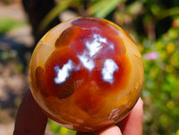 Polished Carnelian Agate Gemstone Spheres x 6 From Madagascar