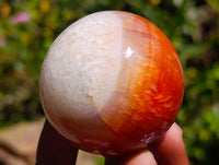 Polished Carnelian Agate Gemstone Spheres x 6 From Madagascar