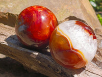 Polished Carnelian Agate Gemstone Spheres x 6 From Madagascar