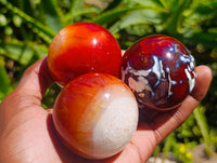 Polished Carnelian Agate Gemstone Spheres x 6 From Madagascar