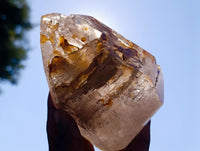 Polished Smokey Quartz Crystal x 1 From Madagascar