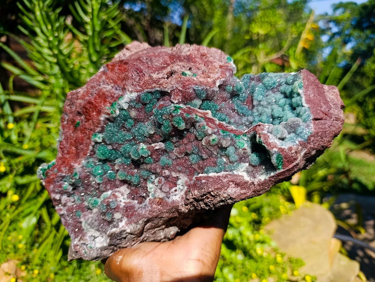 Natural Ball Malachite and Drusy Quartz on Red Dolomite x 1 From Mindingi Mine, Kambove, Congo